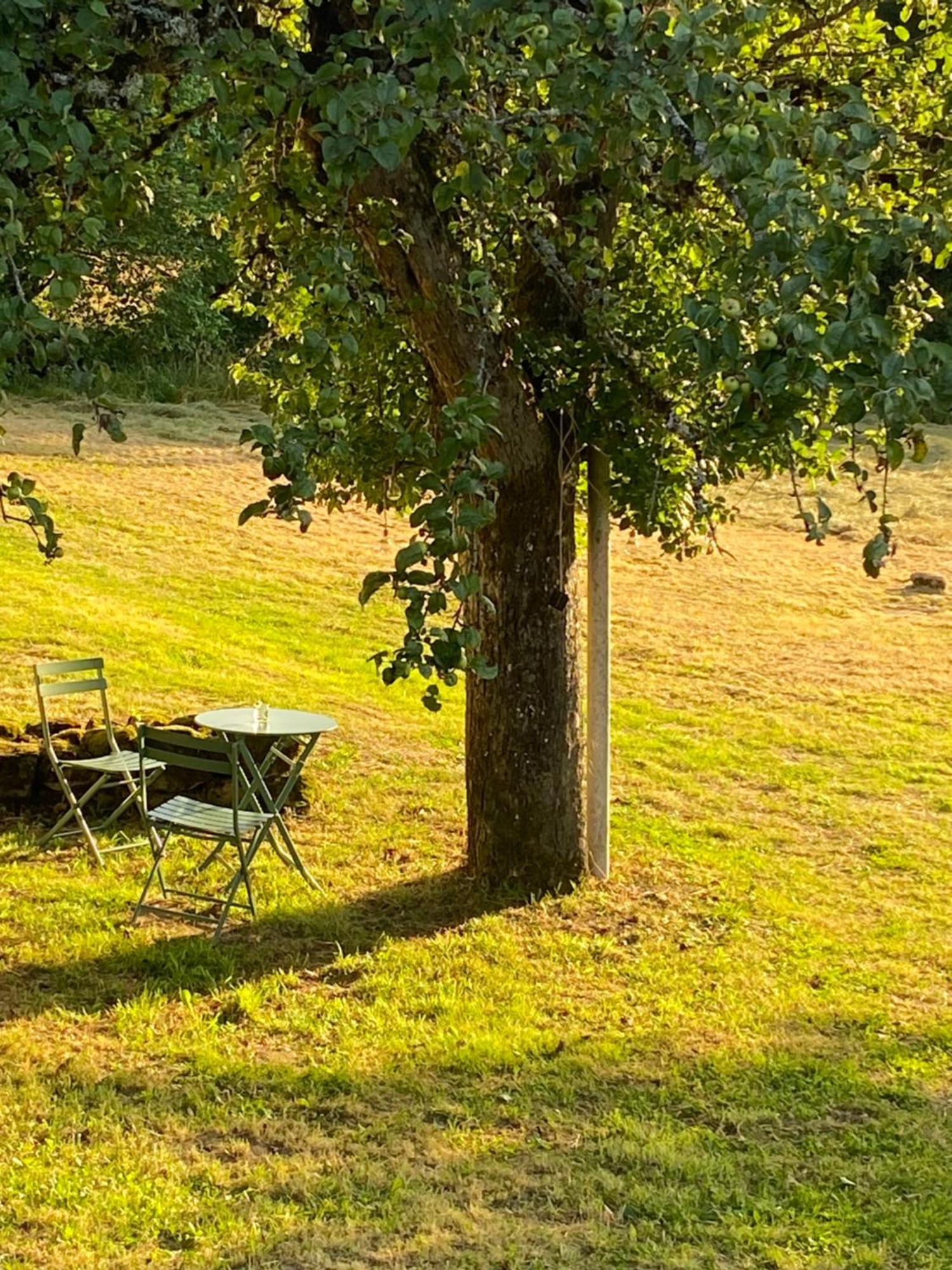 Une Pause En Correze Sarroux Экстерьер фото